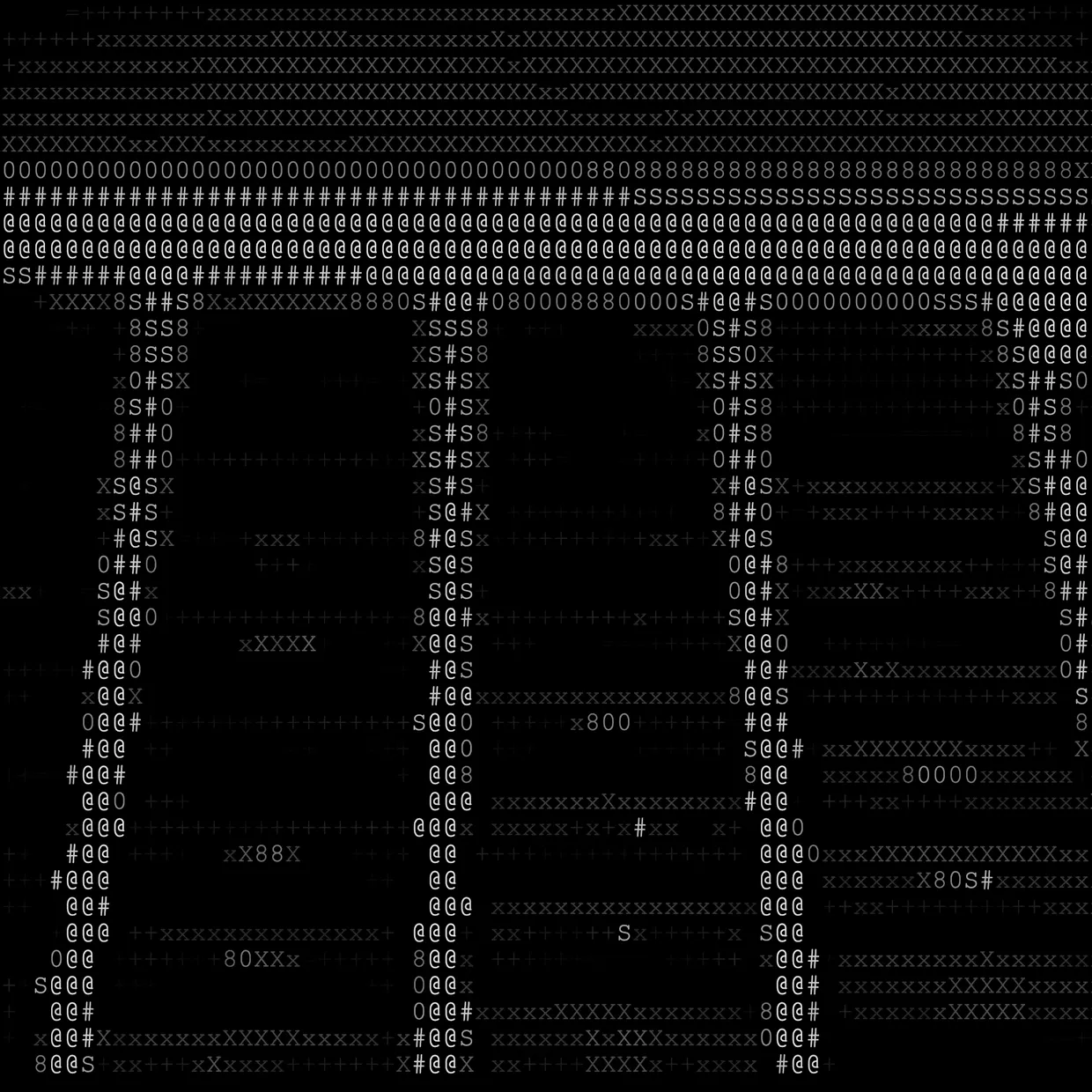 An ASCII rendering of a building facade, drawn in dense characters.